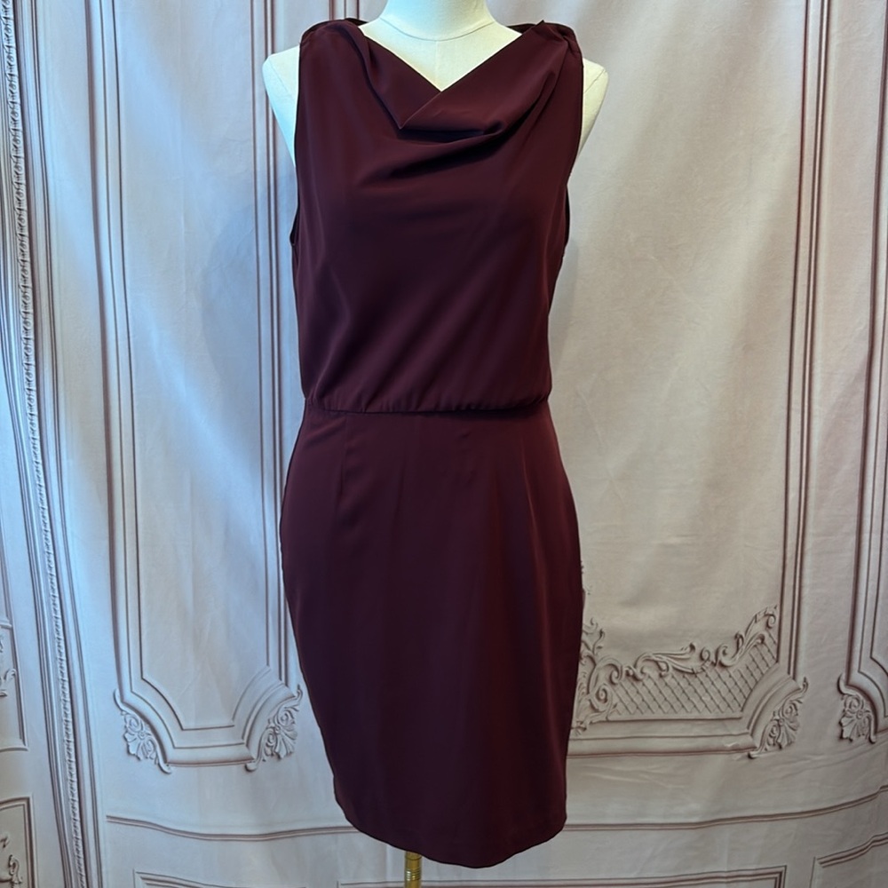 Alice + Olivia burgundy dress